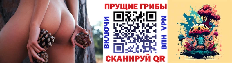 кракен ТОР  Старый Крым  маркетплейс клад  Псилоцибиновые грибы ЛСД 